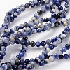Natural Sodalite Beads Strands GSR4mmC013-1