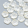 Natural White Shell Beads SSHEL-S260-022-1