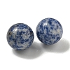 Natural Blue Spot Jasper Round Ball Figurines Statues for Home Office Desktop Decoration G-P532-02A-28-2