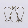 Iron Hoop Earring Findings IFIN-CJC0001-04AB-1