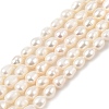 Natural Cultured Freshwater Pearl Beads Strands PEAR-I007-01B-04B-2