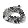 Natural Cloudy Quartz Beads Strands G-G030-A05-01-3