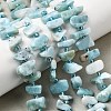 Natural Larimar Beads Strands G-L649-A08-01-1