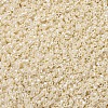 MIYUKI Delica Beads X-SEED-J020-DB1900-3