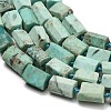 Natural Peruvian Turquoise(Jasper) Beads Strands G-NH0072-E04-02-4