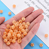 Transparent Crackle Acrylic Beads LS-MACR-S373-66-N05-6