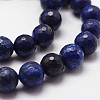 Natural Lapis Lazuli Beads Strands G-D840-38-12mm-3