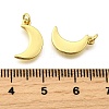 Brass Pendants KK-I275-23G-3