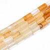 Natural Topaz Jade Beads Strands G-S366-087-2