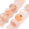 Natural Cherry Blossom Agate Beads Strands G-C150-B04-02-2