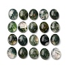 Natural Moss Agate Cabochons X-G-H314-01-1