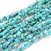 Natural Turquoise Beads Strands X-G-I283-A02-1