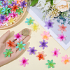 60Pcs Opaque Acrylic Beads OACR-SC0002-81-3