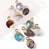 10Pcs 10 Style Natural Gemstone Charms G-LS0002-15-3