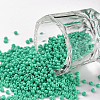 11/0 Grade A Round Glass Seed Beads SEED-N001-A-1030-1
