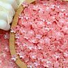 Electroplate Transparent Glass Beads LS-PW-WG44A55-02-1