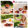 40Pcs 4 Styles Foam/Plastic Display Decorations DJEW-GA0001-64-5