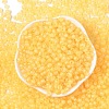 6/0 Luminous Glass Seed Beads SEED-NH0001-01L-3