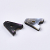 Natural Black Lip Shell Beads SSHEL-S265-001-M-4