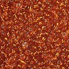 8/0 Glass Seed Beads SEED-A005-3mm-29-2