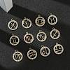 12Pcs 12 Styles Zinc Alloy Crystal Rhinestone Pendants FIND-YW0010-43-4