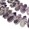 Natural Amethyst Double Terminated Point Beads Strands G-H069-B16-01-4