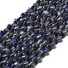 Natural Sodalite Beads Strands G-P575-C15-6mm-2