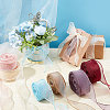 Polyester Ribbon LS-DIY-WH0325-44B-4