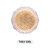 Shining Nail Art Glitter Powder MRMJ-T063-550L-2
