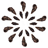 Spiral Shell Beads SSHEL-SC0001-07-1