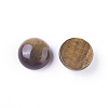 Natural Tiger Eye Cabochons X-G-G788-B-08-4