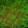 Luminous Transparent Acrylic Beads LACR-D009-01F-3