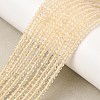 Heated Natural Lemon Quartz Beads Strands GG-CBA4808-A01-01-1
