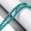 Natural Howlite Beads Strands G-C025-02C-08-2