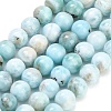 Natural Larimar Beads Strands GG-CBA007A-B01-6.5mm-2