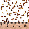 Glass Seed Beads SEED-A004-2mm-13-3