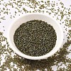 MIYUKI Delica Beads SEED-MY11-DB1739-2