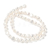 Natural Cultured Freshwater Pearl Beads Strands PEAR-C004-21E-3