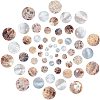 Natural Akoya Shell Pendants SHEL-SC0001-02-1
