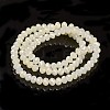 Electroplate Glass Beads Strands EGLA-A034-J10mm-T07-2