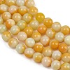 Handmade Lampwork Beads Strand LAMP-B056-8mm-09-4