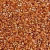 MIYUKI Delica Beads SEED-X0054-DB1702-3