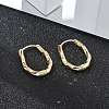 Brass Twist Hoop Earrings EJEW-Q014-02G-4