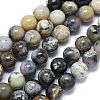 Natural Dendritic Opal Beads Strands G-R494-A23-04A-2