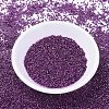 MIYUKI Delica Beads SEED-JP0008-DB0463-2