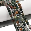 Natural Indian Agate Beads Strands G-A248-A01-01-2