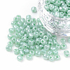 20G Glass Seed Beads SEED-ZF0001-03B-1