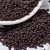 MIYUKI Round Rocailles Beads SEED-X0055-RR0497-1