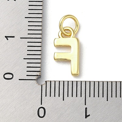 Rack Plating Brass Charms KK-P245-06G-F-1