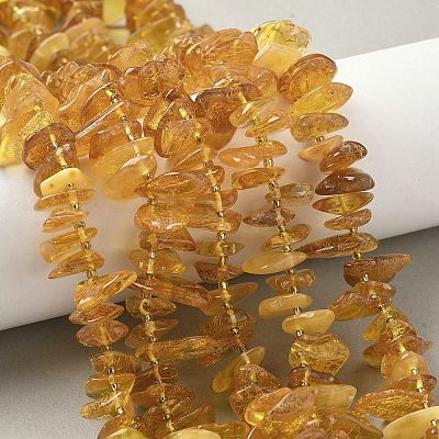 Natural Amber Beads Strands G-L095-D01-03-1